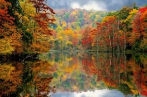 Broken Bow Fall Foliage Lake Reflection Oklahoma