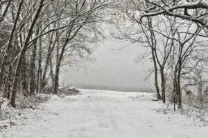 Broken Bow Oklahoma Winter Snow Forest and Lake View