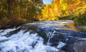 Glover River near Broken Bow Oklahoma with rushing water and fall foliage