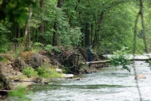 Angler fly fishing on the Lower Mountain Fork River near Broken Bow Lake, Oklahoma